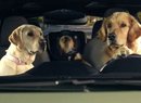 Subaru představilo novou sérii humorných reklam, v hlavních rolích jsou psi