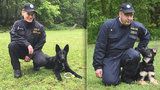 Debie a Bred mají kariéru jasnou: Z roztomilých štěňat budou ostří policejní psi 