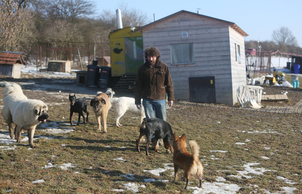 Takhle Rudolf žije. Bez lidí a v obležení svých psů.