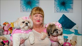 Ann McNeilage utratí téměř celou výplatu za své dva psy
