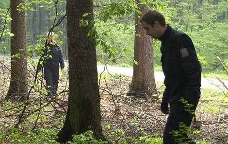 Les u malenovického hradu po »psím« nálezu pročesá-valy desítky policistů.