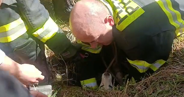 Pes uvízl v šachtě v pražských Jinonicích. Na pomoc přijeli hasiči.