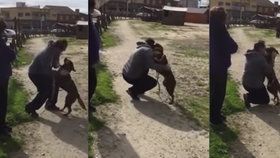 Úžasné video: Pes svého pána neviděl tři roky, neuvěříte, co vyváděl!