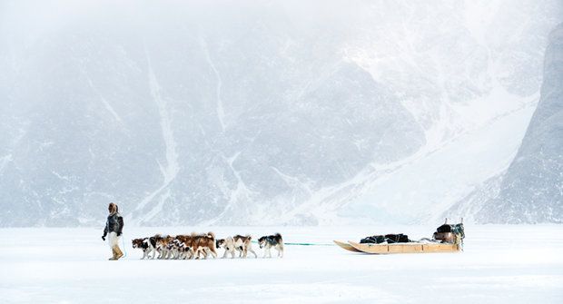 Dobytí Arktidy: Bez psa by to ze Sibiře do Ameriky nešlo