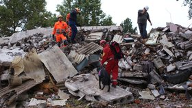Ve zříceném domě nalezli záchranáři bohužel už jen mrtvé tělo. Jejich psy ale často najdou i ty kteří katastrofu přežili.