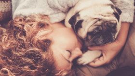 Jakého psa vídáte ve snech? Odhalte, co se vám vaše podvědomí snaží sdělit!