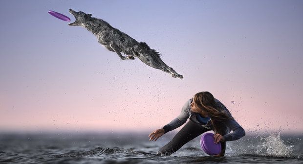 Netradiční psí sporty: Jak zabavit sebe i čtyřnohého parťáka