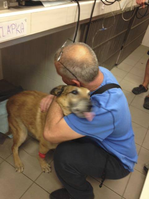Pátrání po majiteli sraženého psa bylo úspěšné, pro Dinga si přijel na veterinu.