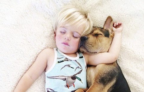Skutečná psí láska! Theo ukládá k spánku svého páníčka