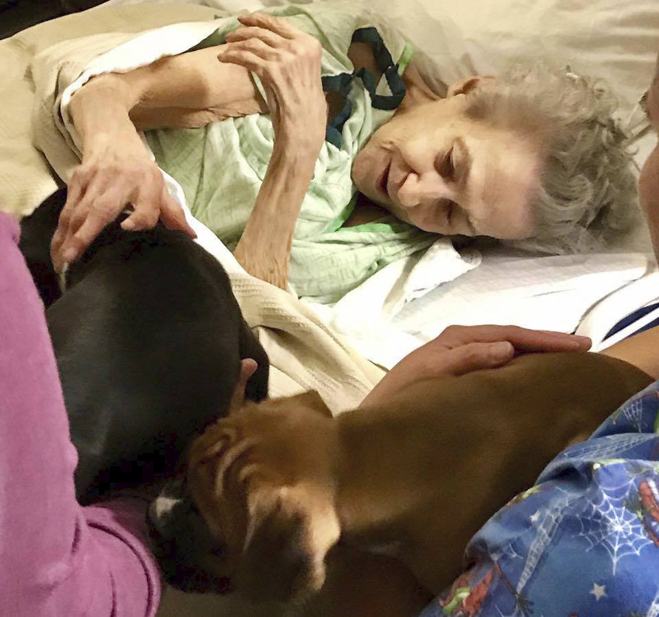 Lásku pomůže seniorům dopřát i  malé štěně