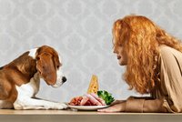 Máte doma loudila? 5 tipů, jak odnaučit psa žebrat o jídlo!
