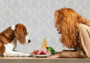 Jíst se psem z jednoho talíře? Bude loudit a navíc vaše jídlo není pro jeho žaludek ideální.