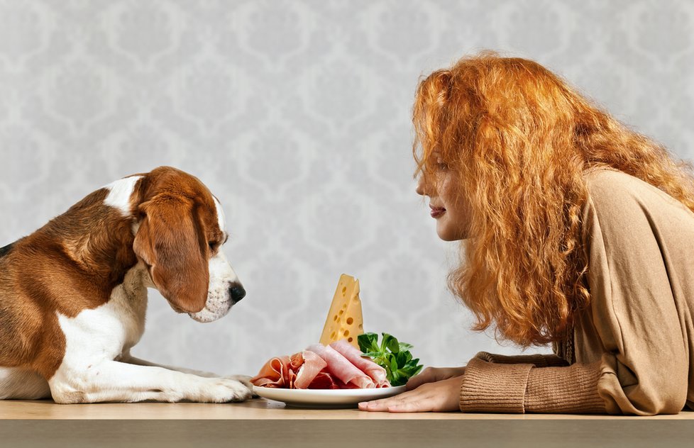 Jíst se psem z jednoho talíře? Bude loudit a vaše jídlo není pro jeho žaludek ideální.