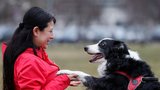 Nejlepší přítel člověka umí rozlišit „páníčkův“ jazyk od jiného, tvrdí studie o psech