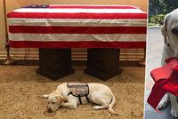 Snímky truchlícího psa George Bushe staršího (†94) dojaly celý svět: Pes se od pána nehnul ani po jeho smrti