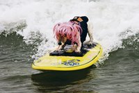 Surfařská fenka Kia (8) opět v akci!