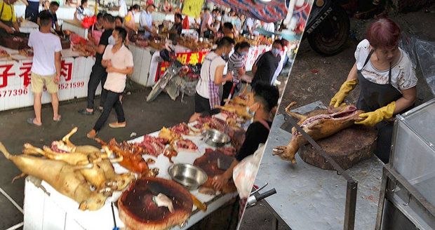 Šokující fotografie z psího trhu: Prodejci jim řežou nohy zaživa, popsala hrůzu aktivistka