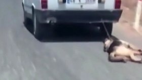 Krutý řidič z Turecka vláčel za autem přivázaného psa. Zvíře se podařilo zachránit.