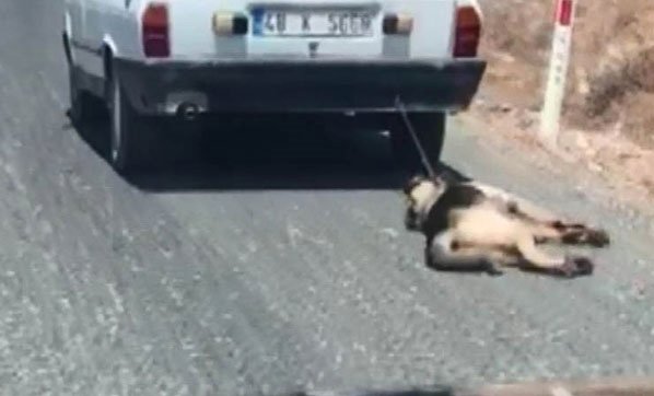 Krutý řidič z Turecka vláčel za autem přivázaného psa. Zvíře se podařilo zachránit.