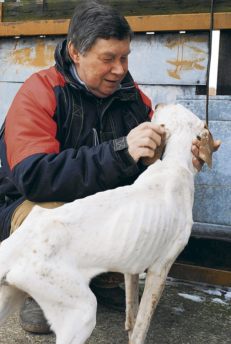 Leden 2010 – Car byl v příšerném stavu, jenom kost a kůže.