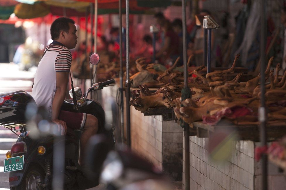 Festival liči a psího masa v Jü-linu