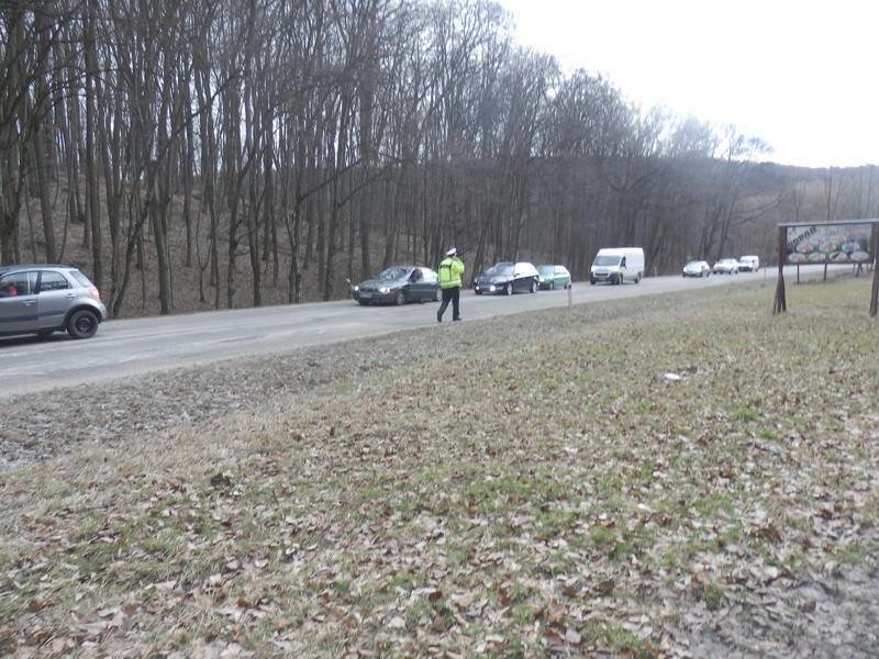 Vysloužilého hlídače jí v útulku nevzali, tak ho údajně vyhodila z auta: Vlčáka nakonec zabilo auto.