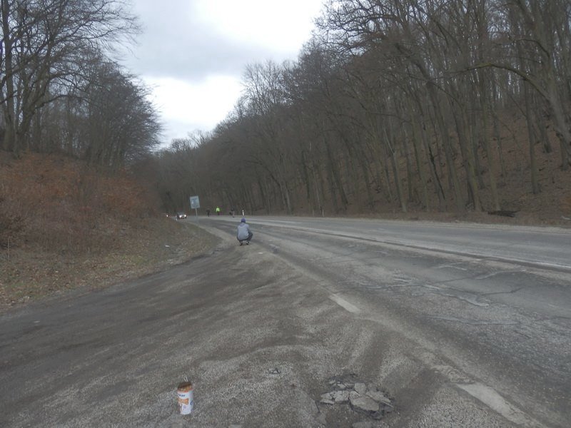 Vysloužilého hlídače jí v útulku nevzali, tak ho údajně vyhodila z auta: Vlčáka nakonec zabilo auto.