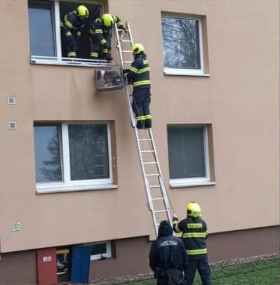 Zuboženého a podvyživeného amerického staforda zachraňovali hasiči z okenního parapetu bytu v Uherském Hradišti.