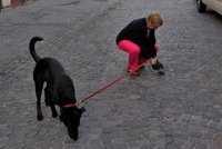 Uklízeč sebral ženě na ulici boty: Nechtěla uklidit po svém psovi