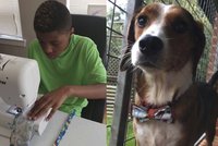 Dvanáctiletý chlapec zachraňuje opuštěné psy. Díky svému problému jim pomáhá najít nový domov