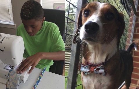 Dvanáctiletý chlapec zachraňuje opuštěné psy. Díky svému problému jim pomáhá najít nový domov