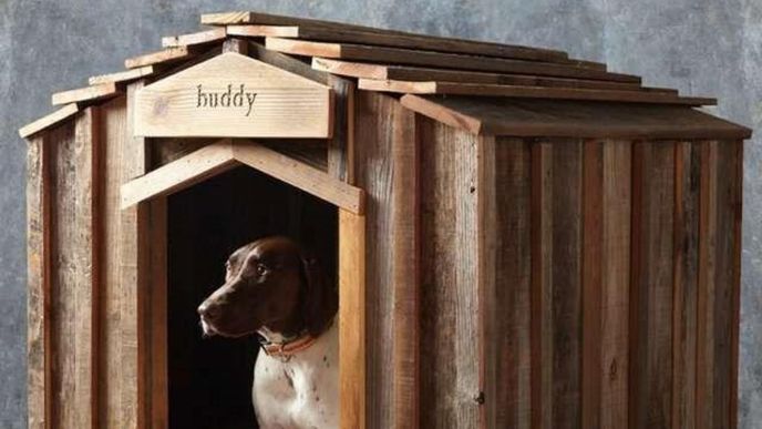 Pes v boudě