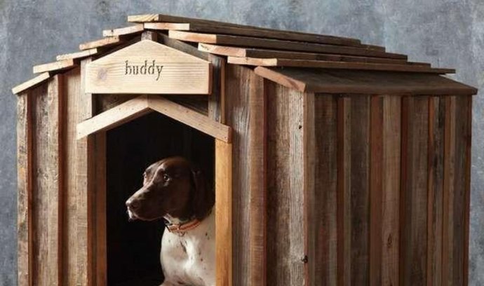 Pes v boudě