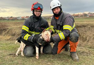 Hodinu trvala záchrana psa, který na Kyjovsku uvízl v rouře plné bahna.