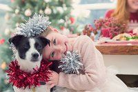 Recepty na vánoční cukroví pro psy. To lidské jim nedávejte, páníčkové