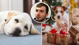 Jak zdárně zvládnout vánoční hody společně se svým psem? Pro Blesk.cz předal rady veterinář Samuel Evinic.