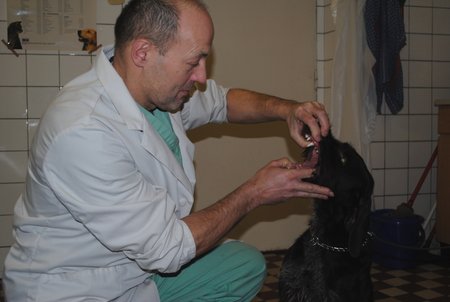 Veterinář Jiří Mareš