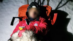 Pes chránil po celých 13 hodin vlastním tělem před mrazem horolezce, který se na Nový rok zranil při výstupu v chorvatském pohoří Velebit.