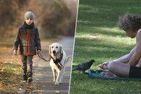 Praha je pro mnohá zvířata posledním útočištěm. Do lesa chodíme na návštěvu, říká odbornice