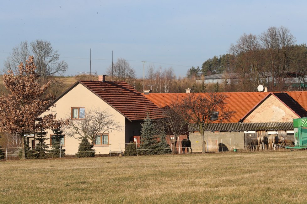 V Otradově došlo k tragédii. Pes tady zabil matku čtyř dětí.