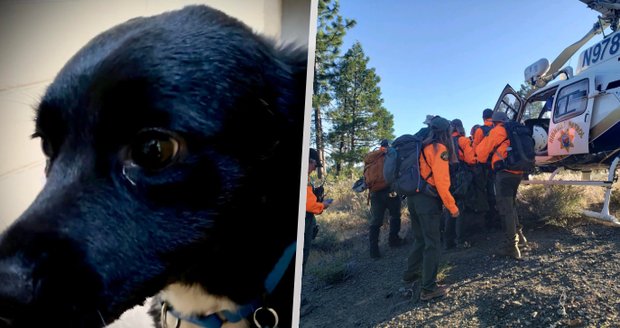 Turista se zřítil ze srázu: Bezradné záchranáře ke zraněnému muži dovedl jeho pes!