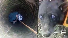 Slepý pes byl měsíce uvězněný ve studni.