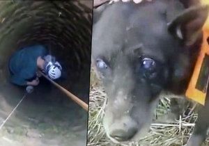 Slepý pes byl měsíce uvězněný ve studni.