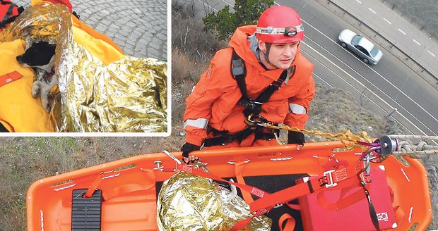 Při pádu z výšky 11 metrů pejsek utrpěl těžké poranění plic. Záchranář k němu slezl a stabilizoval ho. Zabaleného do termofólie psa zvířecí záchranka PET – MEDIC odvezla do veterinární nemocnice