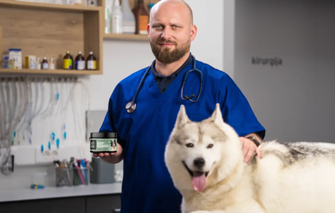Revoluce ve zdraví psů: Veterinář zpochybňuje tradiční staré léčby