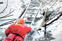 Hasiči zachraňovali tonoucího psa, bořil se pod nimi led