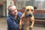 Slepého psa Jerryho se ujal zvířecí záchranář Karel Bobál.