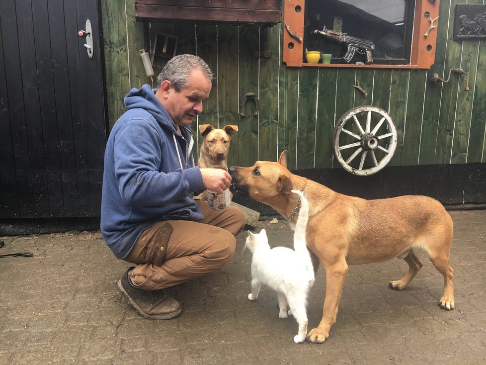 Slepého psa Jerryho se ujal zvířecí záchranář Karel Bobál.