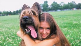 Tropická vedra snášejí naši mazlíci hůře, než my.