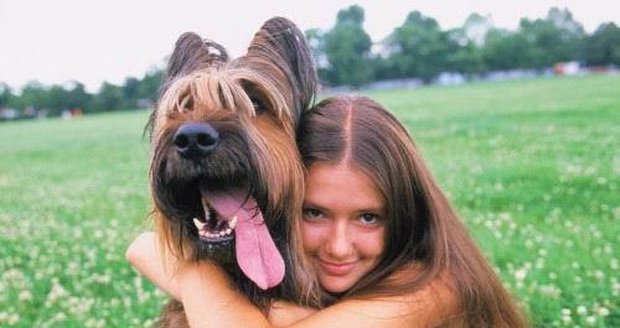 Tropická vedra snášejí naši mazlíci hůře, než my.